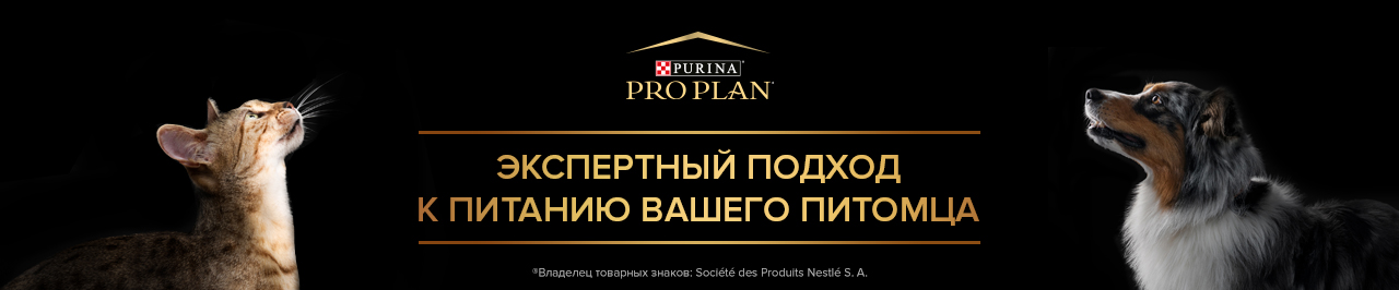 Баннер бренда PRO PLAN® 2