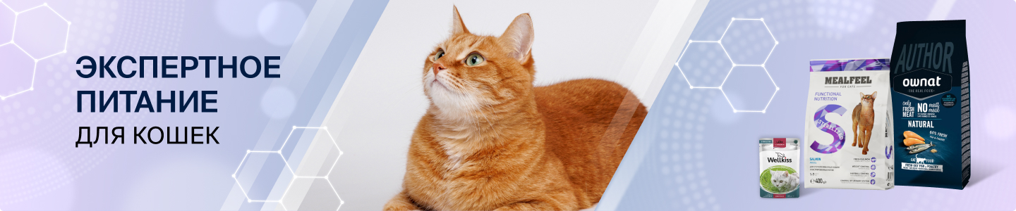 Каталог-кошки: Экспертное питание для кошек