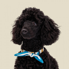 Ошейник-бандана для собак Аквамарин, M, обхват шеи 35-50 см, ширина 1,9 см, песочно-синяя