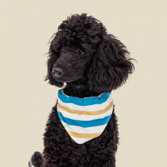 Ошейник-бандана для собак Аквамарин, M, обхват шеи 35х50 см, ширина 1,9 см, песочно-синяя